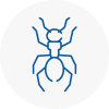 Ant Removals In Saltdean