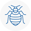 Bed Bug Extermination In Saltdean