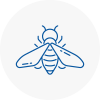 Bee Nest Removal Saltdean