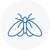 Moth Control Specialists In Saltdean