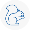 Saltdean Rodent Removals